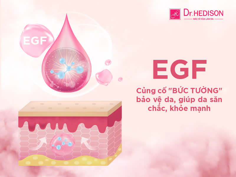 EGF là gì? Mỹ phẩm chứa EGF có an toàn, hiệu quả không?