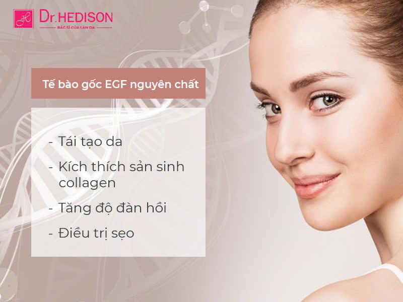 tế bào gốc EGF