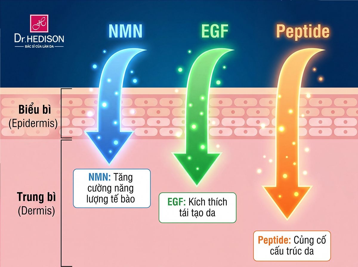 Cơ chế thẩm thấu đa tầng của phác đồ N.E.P từ dược mỹ phẩm Dr.HEDISON