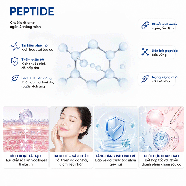 PEPTIDE Dr.HEDISON